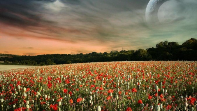 有哪些BI工具惊艳了你？